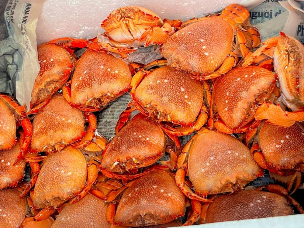 Cua Huỳnh Đế 